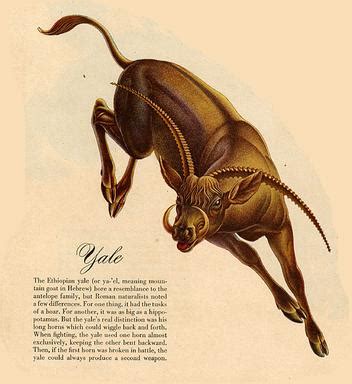 Yale (mythical creature) 